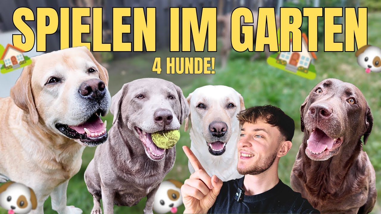 Meine Hunde reden mit mir?! 😂 Die witzigste Unterhaltung im Garten!