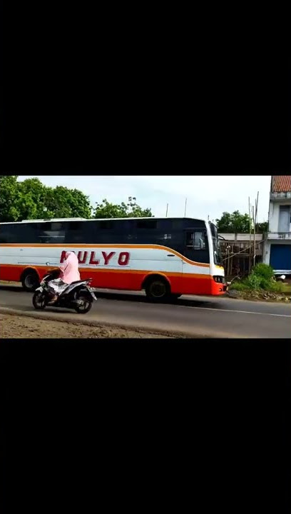 Bus Mulyo, #bus #Truk #mobil #motor #shorts #viral #youtube #tiktok #trending