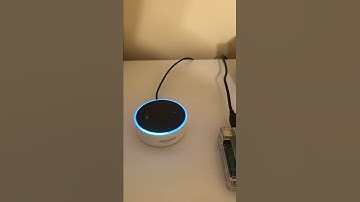 Apache MiNiFi CPP - USB Poop Scale