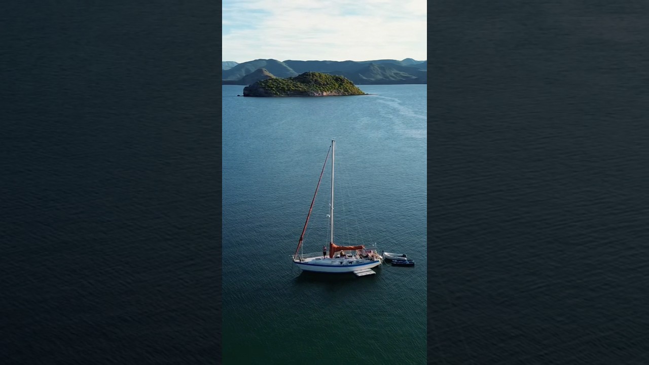 ⁣Experience the magic of the unesco world heritage sites with us in the Sea Of Cortez!