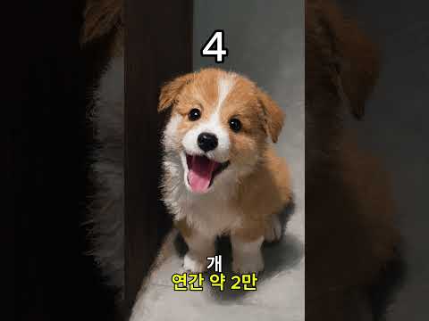 사람을 많이 죽인 동물 TOP5