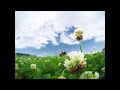 渡辺歌子 風歌い