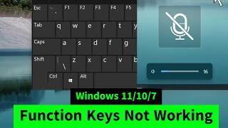 Function keys Not Working in Windows 11/10 [Sound, Brightness, PrintScreen Hot Keys Not Working] FIX Profile