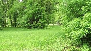 695 Tetonka View Dr. video tour
