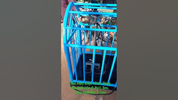 Cân Heo điện tử 500kg, cân một lần 2 con, kích thước 0.8x1.3m