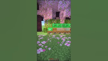 Minecraft logic is unknown 🧐😵‍💫 || wait for end || #minecraft #minecraftshorts #viralvideo