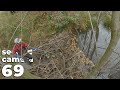 Half An Hour Of Calm Water Buzzing - Manual Beaver Dam Removal No.69 - Second Camera