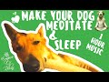 1 Hour Music For Dogs To Go To Sleep Fast | Relaxing Dog Music For Anxiety [Guaranteed]