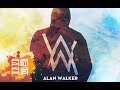 五首Alan Walker 艾兰·沃克 震撼现场版,万人空巷,嗨到爆炸,一起感受音乐的力量吧~