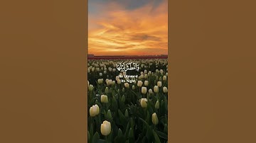 راحة النفسية 🌻تلاوة مؤثرة بصوت إسلام الصبحي 🥀حالات واتس اب دينية مؤثرة 🥀