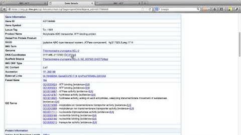 Basic Information Tutorial