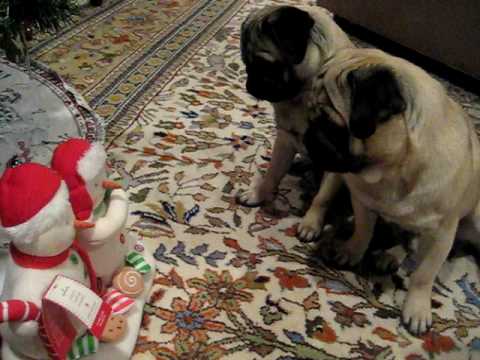 Christmas Pugs and Singing Hallmark Snowmen