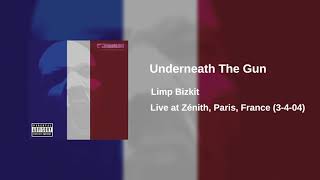 Limp Bizkit - Underneath The Gun (Live at Zénith, Paris, France (3-4-04)