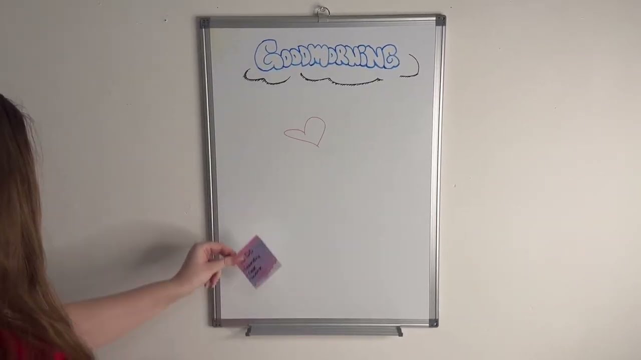 QueenLink Double Sided Whiteboard With Accessories Review