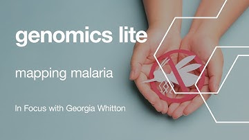 Genomics Lite: Mapping Malaria with Genomic Surveillance