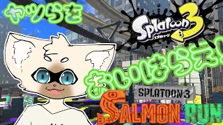 【参加型】いきてかえすな　#スプラトゥーン3