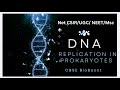 DNA Replication in PROKARYOTES in one shot .IMPORTANT☝🏻UGC NET / CSIR / MSc / BSc students.