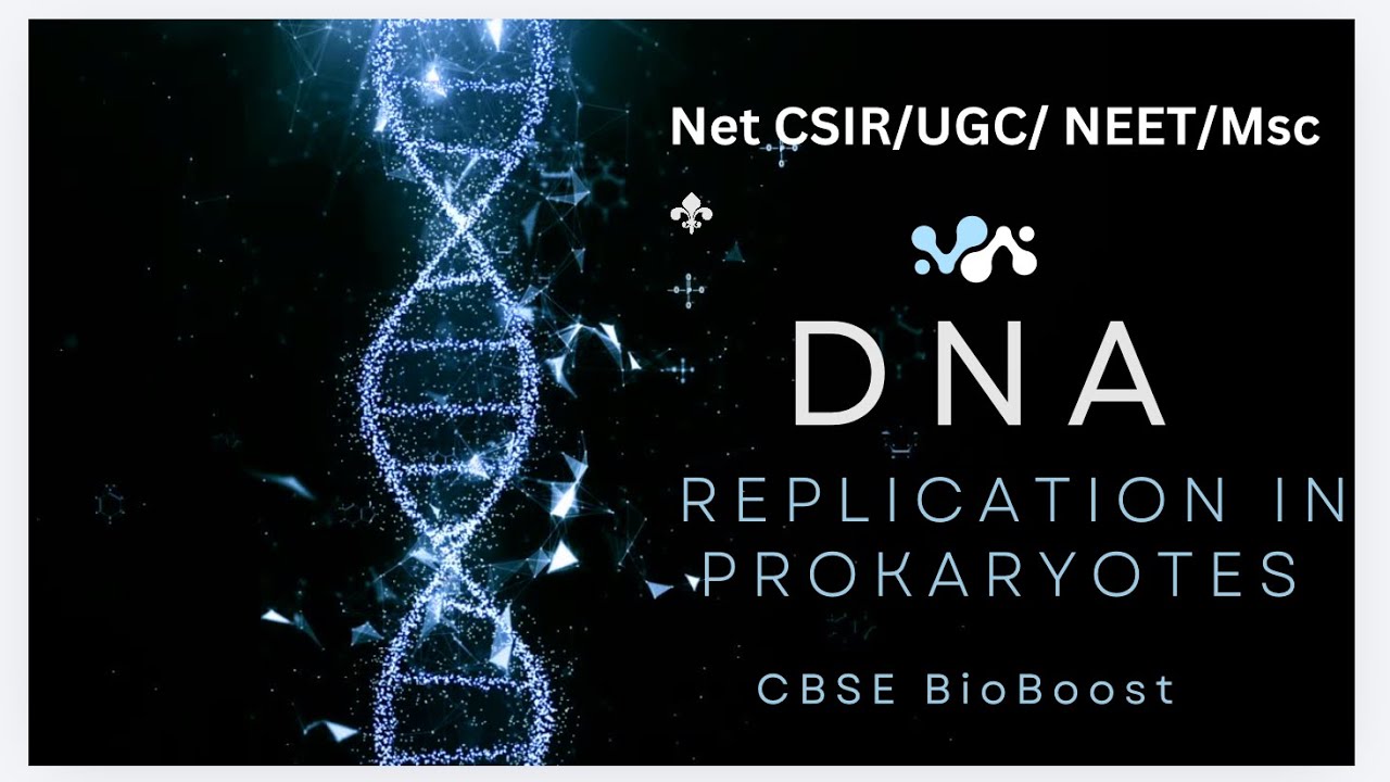 Part 12(A)✅DNA Replication in PROKARYOTES.IMPORTANT☝🏻UGC NET / CSIR / MSc / BSc students.