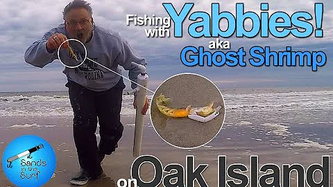 Fishing with Yabbies aka Ghost Shrimp on Oak Island