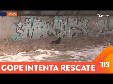 Operativo para rescatar perro en el río Mapocho: crecida del caudal lo dejó atrapado