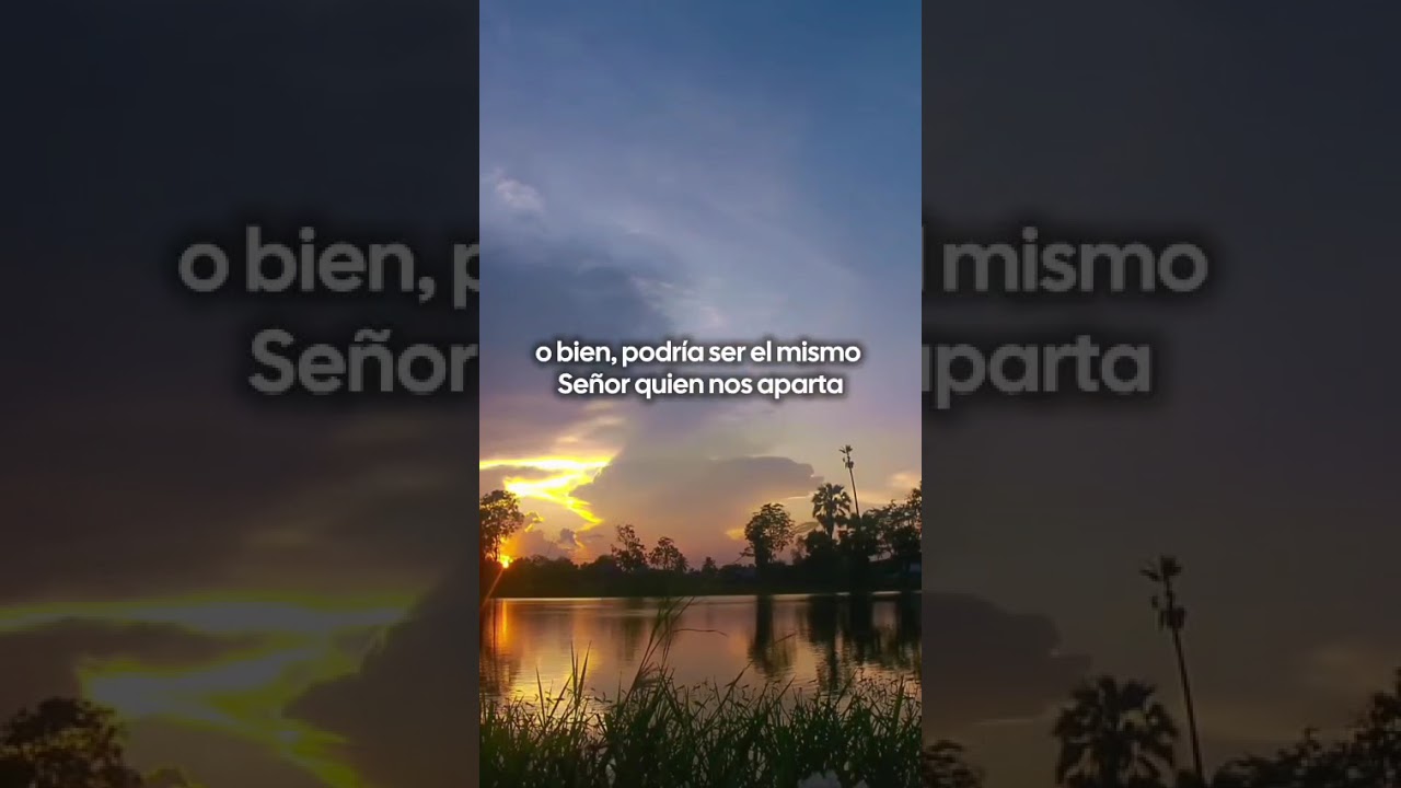 No más (Devocional) 