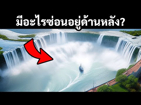 วีดีโอ: ท้องนาทั่วไป: คำอธิบายสายพันธุ์ ที่อยู่อาศัย และข้อเท็จจริงที่น่าสนใจ