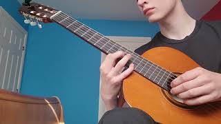 A Beautiful Flower - Robert Lunn - classical guitar cover