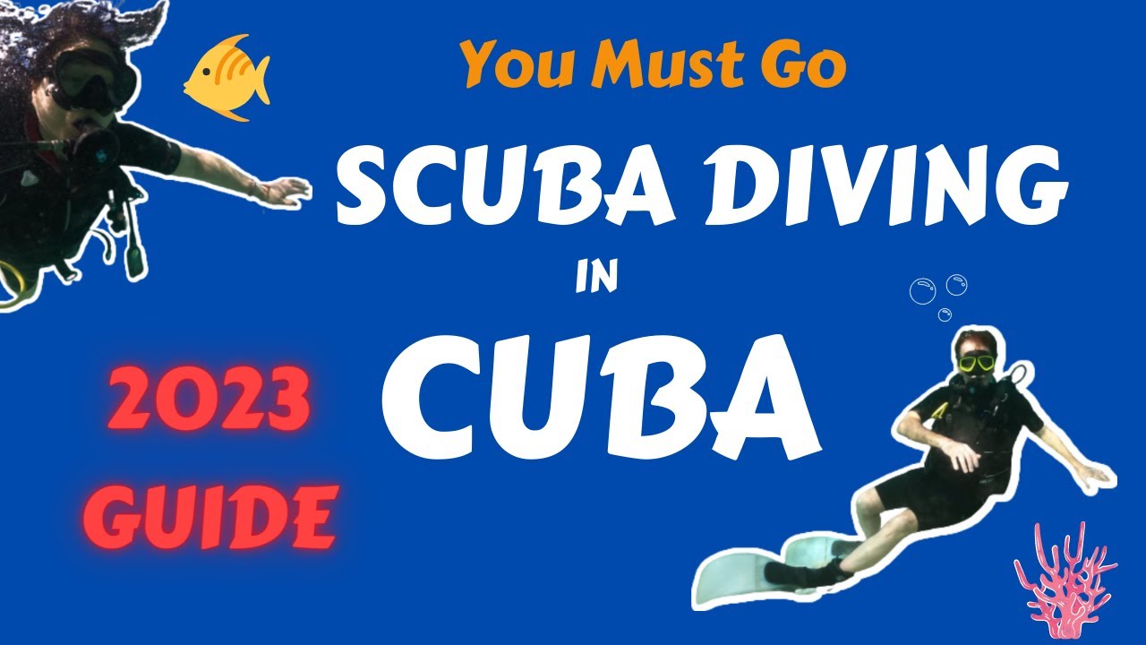 You Must Go Scuba Diving in Cuba! 2023 Guide YouTube