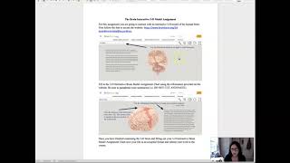 3-D Interactive Brain Assignment