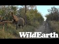 WildEarth - Sunrise  Safari - 06 May 2022