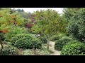 Les jardins sothys en corrze  des petites ambiances dinspiration pour adoucir votre environnement