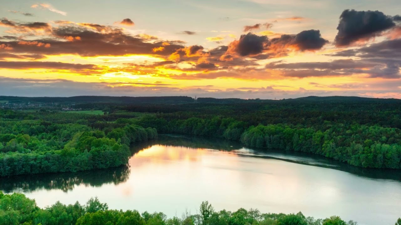 The magic of music: from peace to inspiration