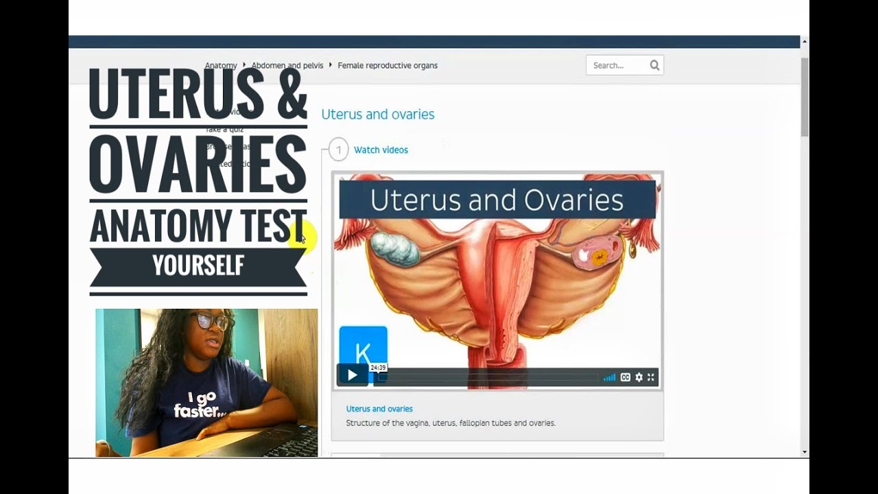 kenhub study anatomy with me (test yourself): uterus and ovaries quiz for med students