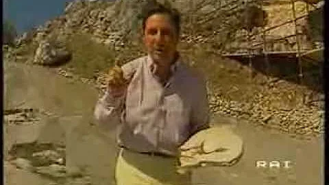 Dove si trova il fossile di Ciro?