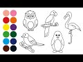 🦩🦉 ANIMALES PÁJAROS 🐧🦜dibujar y colorear para niños - Dibujar animales con Burgmuller