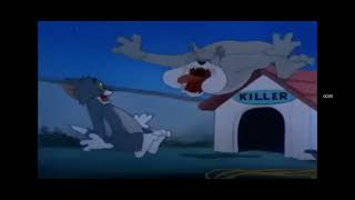Spike screaming like a bull tom and jerry