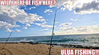 ULUA (GIANT TRAVELLY) FISHING HAWAII| REVISIT OLD GROUNDS| PAPIO|