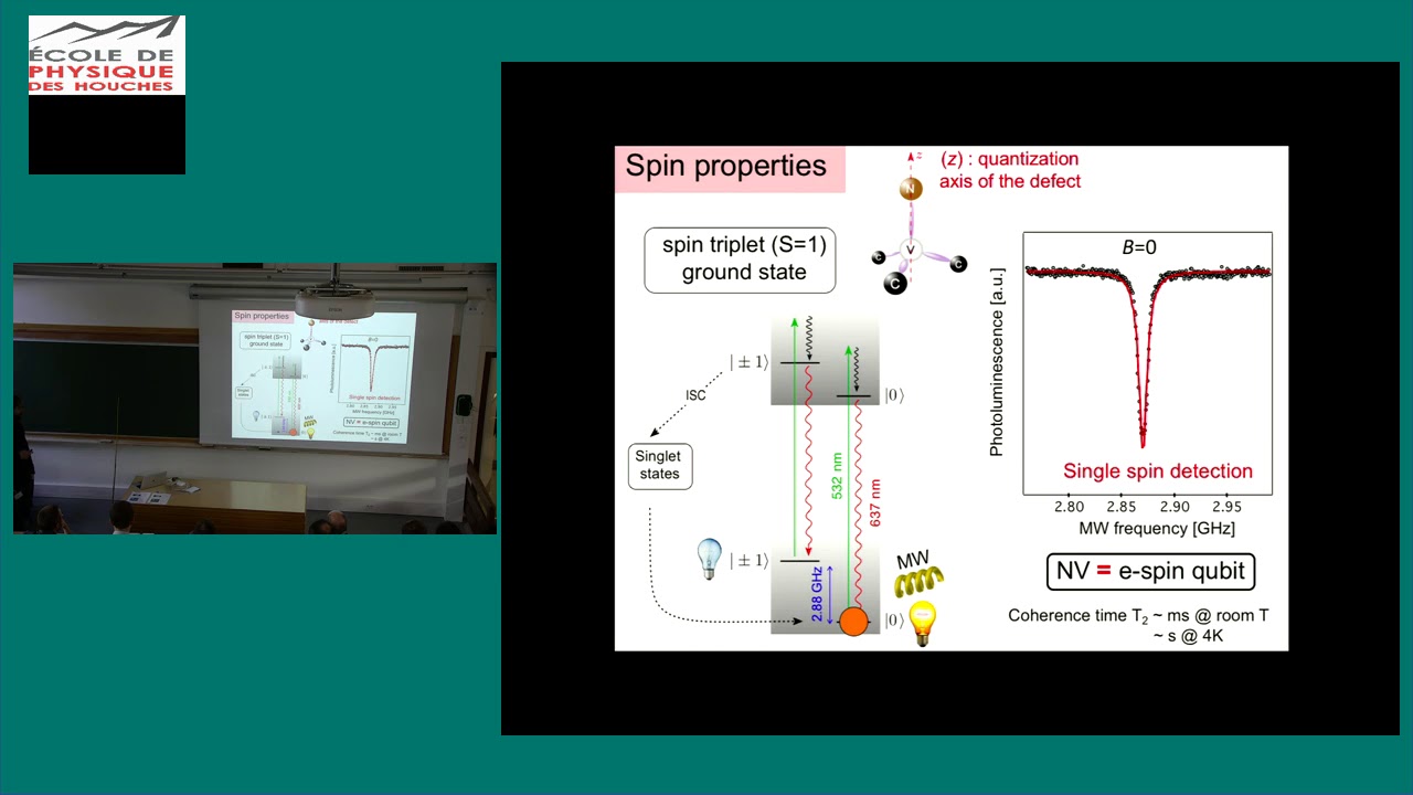 Imaging magnetic field at the nanoscale with a single spin microscope ...