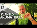 Cultiver des plantes aromatiques  plantiste  pisode 12