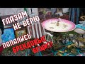 Удача! Как повезло. Барахолка. Блошиный рынок в Киеве 2019.