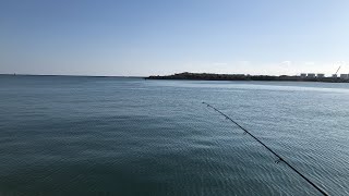 ひっそりと釣り配信 【概要欄必読】