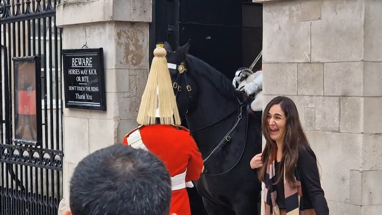 Kings guard horse slips falls guard stays mounted #horseguardsparade