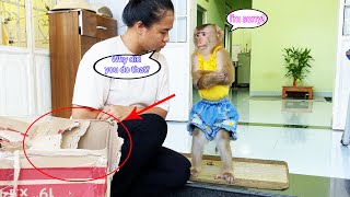 Monkey Lyly was punished by her mother for mischievously littering the floor