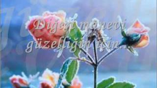bu güller senin için
