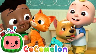 Explore the World of Pets | CoComelon | Cartoons for Kids - Explore With Me!