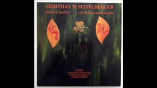 Christian M. Seitelberger Edgar R. Mottas Guenther Schmoelzer Ludmilla Schiller 1987