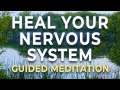 A Somatic Meditation To Heal Your Nervous System Receive With Ease 
