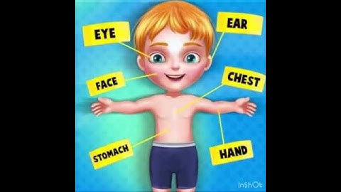 Thumbnail of My Body Song for pre-schoolers APOORVA KAPOOR