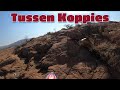 Tussen Koppies'22