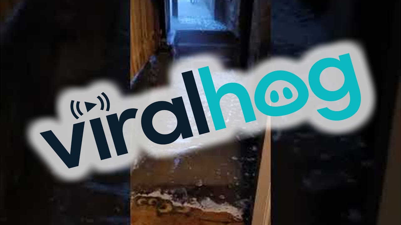 Heavy Rains Flood Chicago Apartment || ViralHog